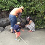湯日川親水公園 でカニを捕まえているところ